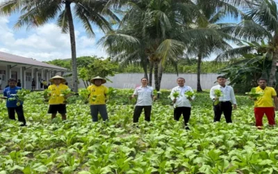 Belajar dari Kemandirian Lapas Namlea: Optimalkan Lahan Terbatas