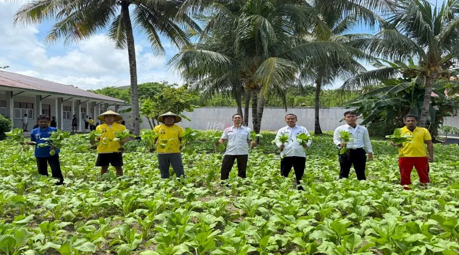 Belajar dari Kemandirian Lapas Namlea: Optimalkan Lahan Terbatas
